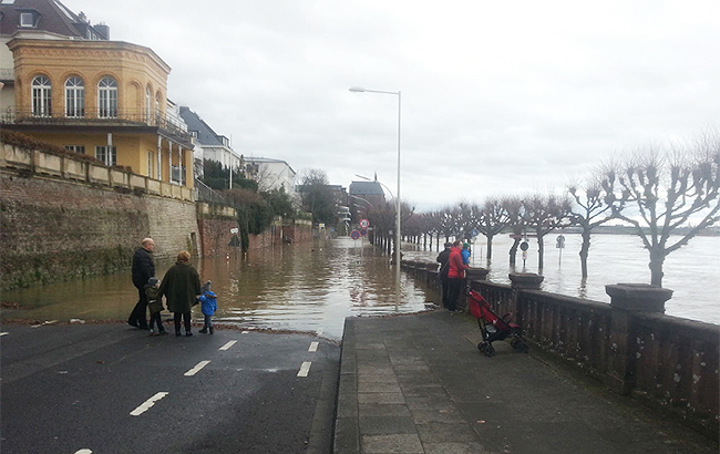 В Германии речка Рейн вышла из берегов